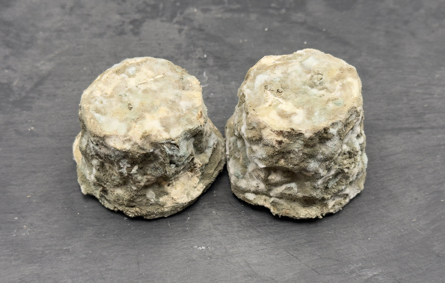 Chabichou affiné x2