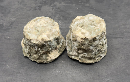 Chabichou affiné x2